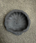Small shell