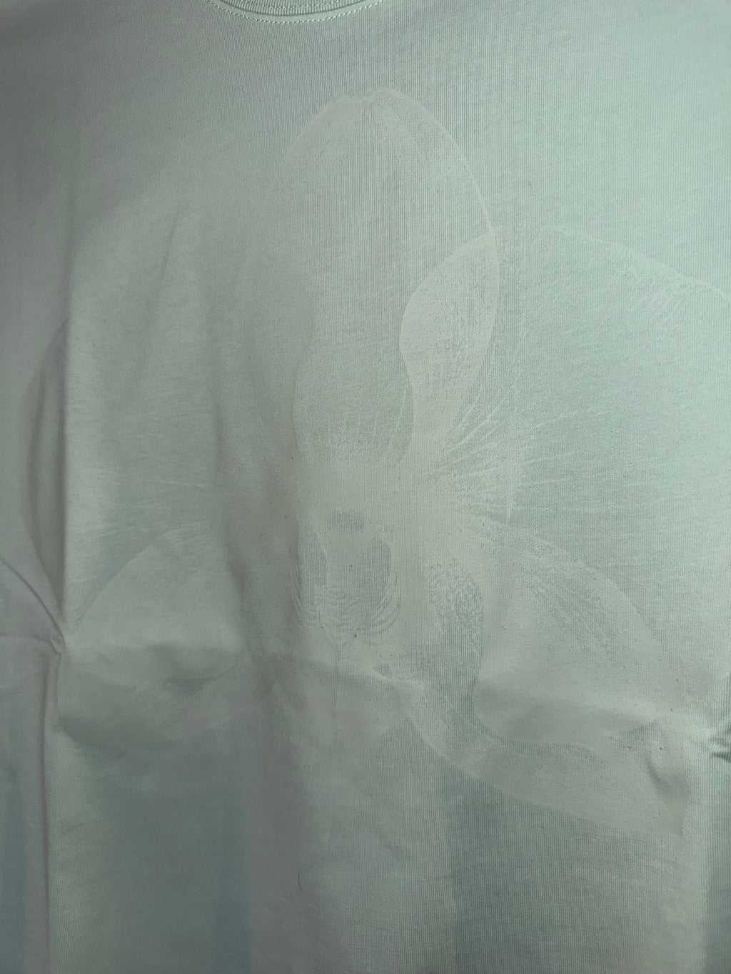 Orchid - Glow in the dark - green