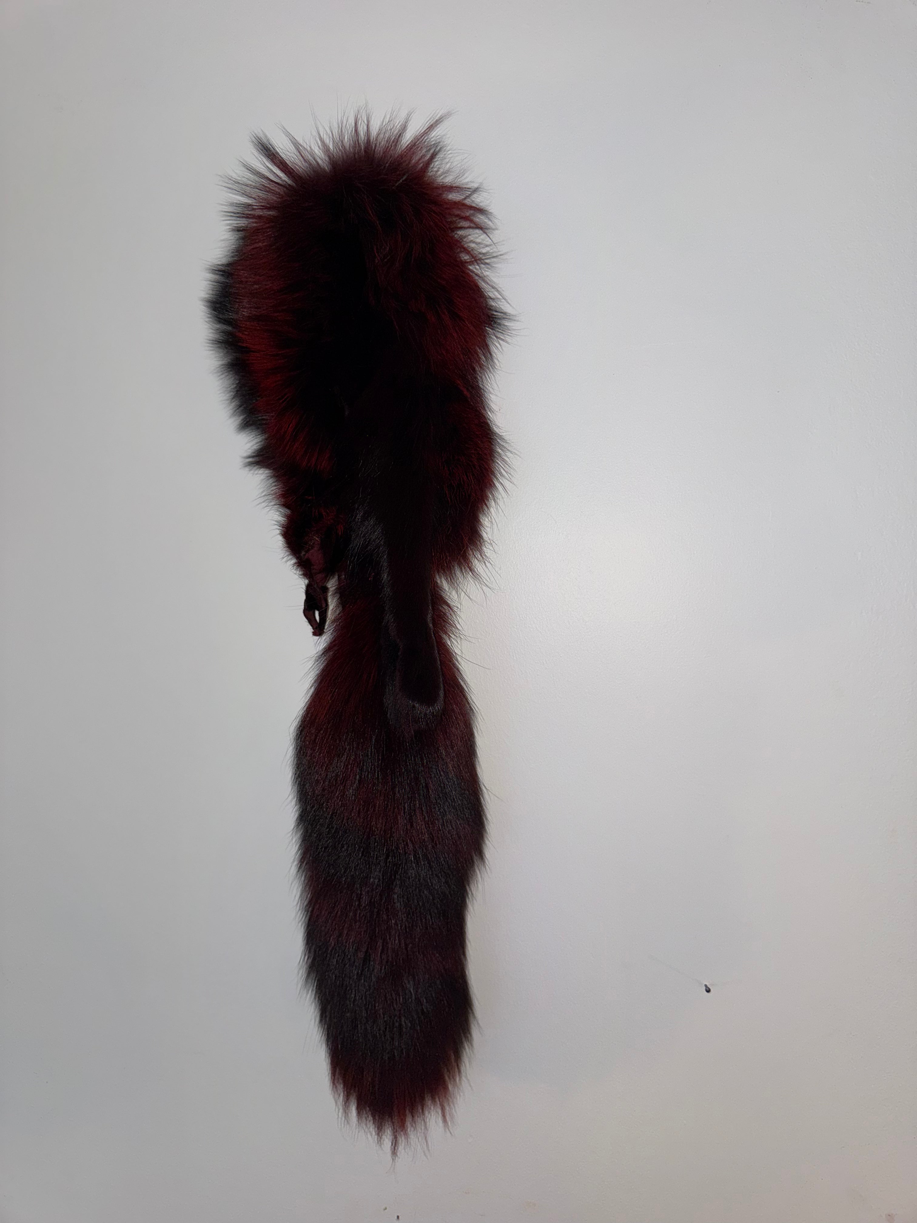 Red fox collar