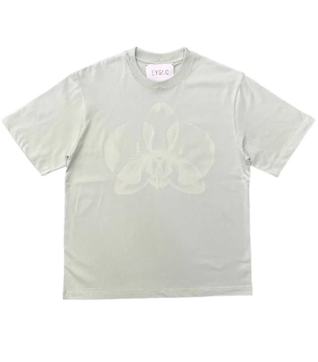 Orchid - Glow in the dark - green